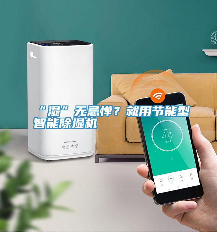 “濕”無忌憚？就用節能型智能除濕機