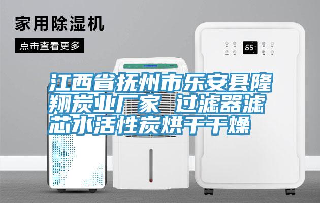 江西省撫州市樂安縣隆翔炭業(yè)廠家 過濾器濾芯水活性炭烘干干燥