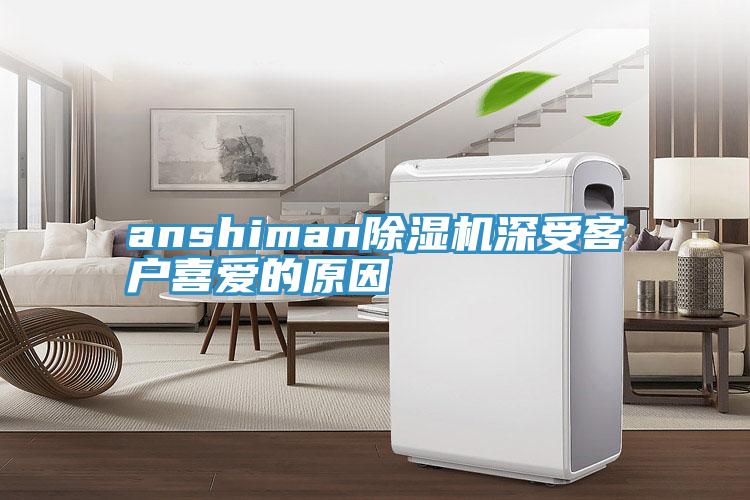 anshiman除濕機(jī)深受客戶喜愛(ài)的原因