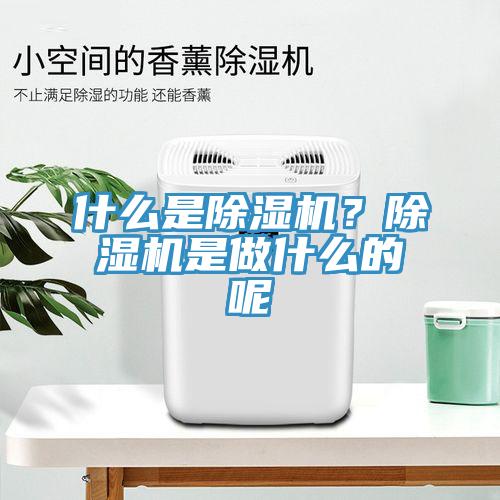 什么是除濕機？除濕機是做什么的呢