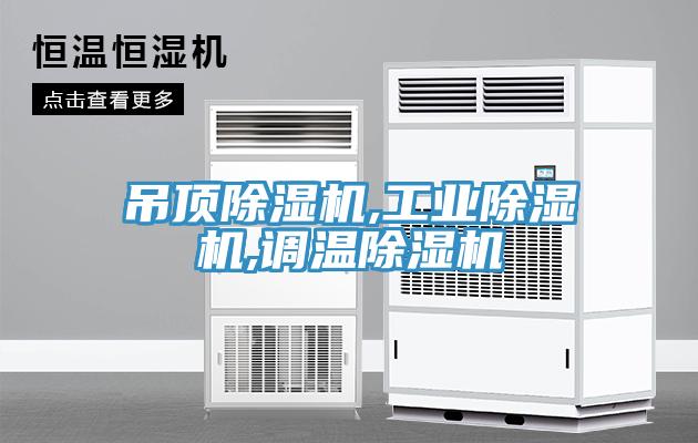 吊頂除濕機,工業除濕機,調溫除濕機