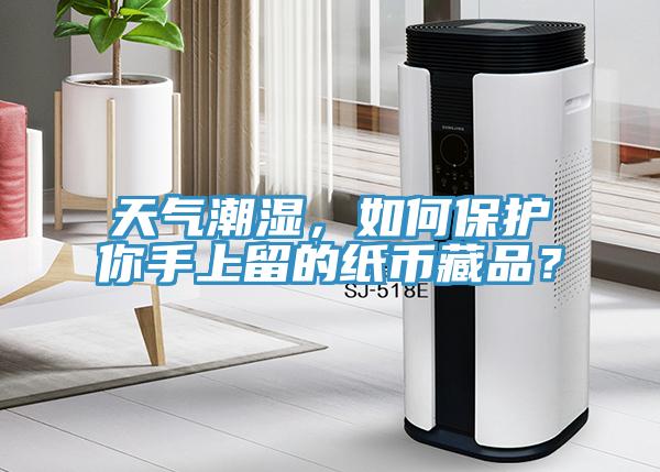 天氣潮濕，如何保護(hù)你手上留的紙幣藏品？