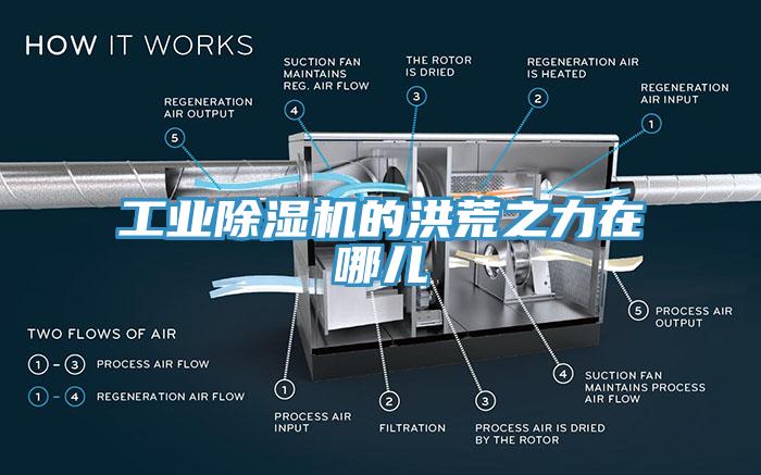 工業(yè)除濕機(jī)的洪荒之力在哪兒