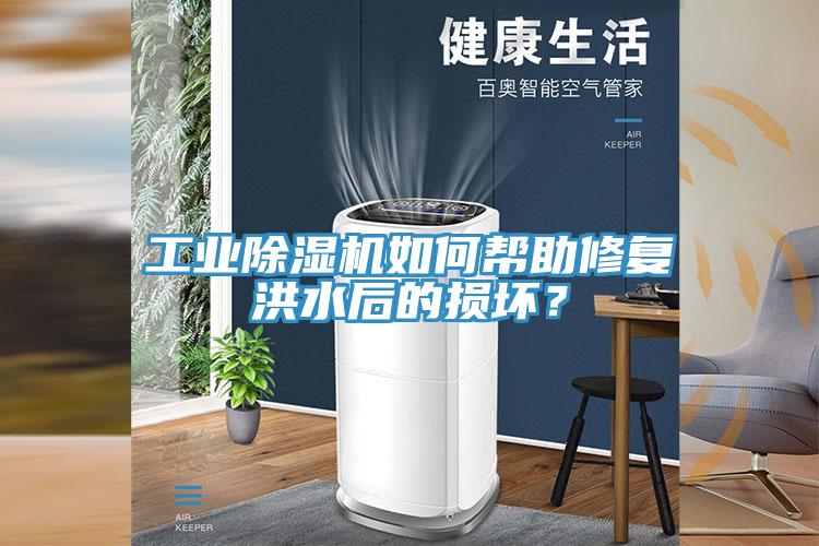 工業(yè)除濕機(jī)如何幫助修復(fù)洪水后的損壞？