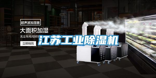 江蘇工業除濕機