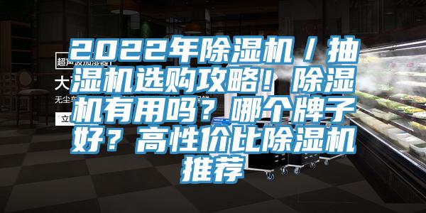 2022年除濕機／抽濕機選購攻略！除濕機有用嗎？哪個牌子好？高性價比除濕機推薦