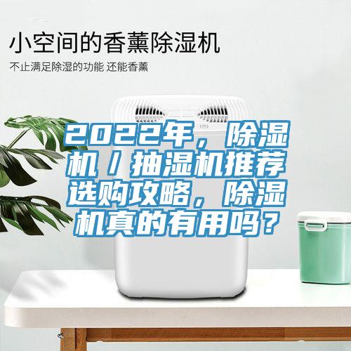 2022年，除濕機／抽濕機推薦選購攻略，除濕機真的有用嗎？