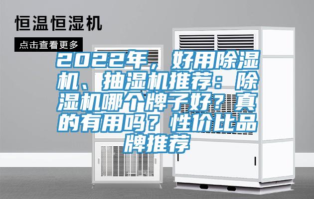 2022年，好用除濕機、抽濕機推薦：除濕機哪個牌子好？真的有用嗎？性價比品牌推薦