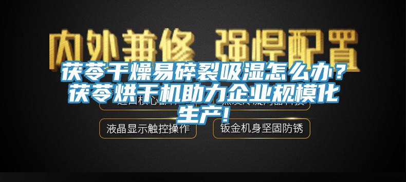 茯苓干燥易碎裂吸濕怎么辦？茯苓烘干機助力企業(yè)規(guī)模化生產(chǎn)!