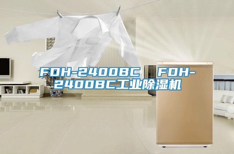 FDH-2400BC  FDH-2400BC工業(yè)除濕機(jī)