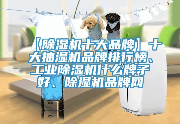 【除濕機十大品牌】十大抽濕機品牌排行榜、工業除濕機什么牌子好、除濕機品牌網