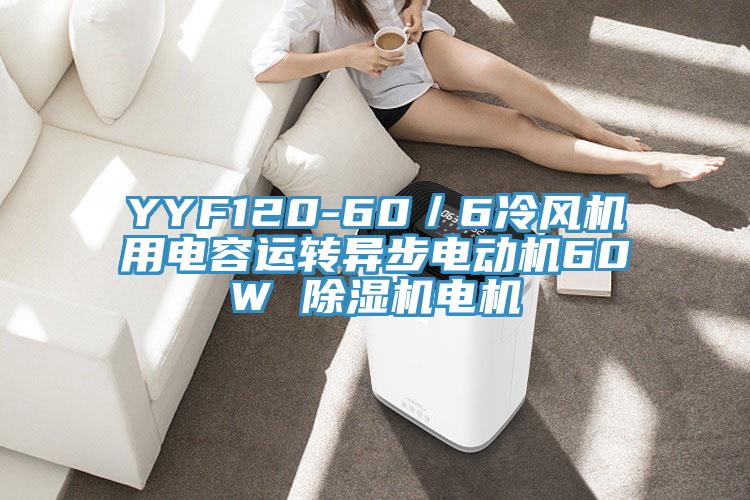 YYF120-60／6冷風(fēng)機(jī)用電容運(yùn)轉(zhuǎn)異步電動(dòng)機(jī)60W 除濕機(jī)電機(jī)