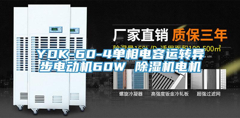 YDK-60-4單相電容運(yùn)轉(zhuǎn)異步電動機(jī)60W 除濕機(jī)電機(jī)