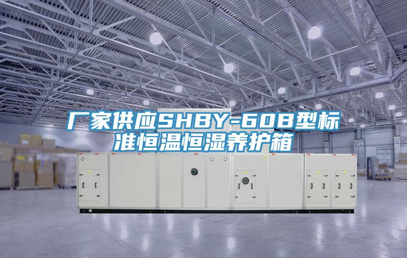 廠家供應SHBY-60B型標準恒溫恒濕養護箱