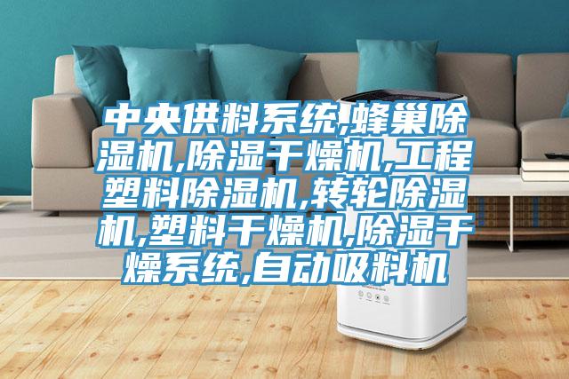 中央供料系統,蜂巢除濕機,除濕干燥機,工程塑料除濕機,轉輪除濕機,塑料干燥機,除濕干燥系統,自動吸料機