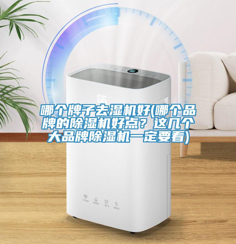 哪個牌子去濕機好(哪個品牌的除濕機好點？這幾個大品牌除濕機一定要看)