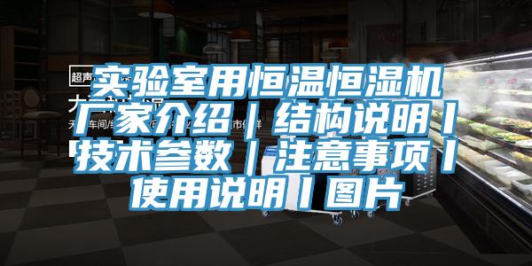 實驗室用恒溫恒濕機廠家介紹｜結(jié)構(gòu)說明丨技術(shù)參數(shù)｜注意事項丨使用說明丨圖片