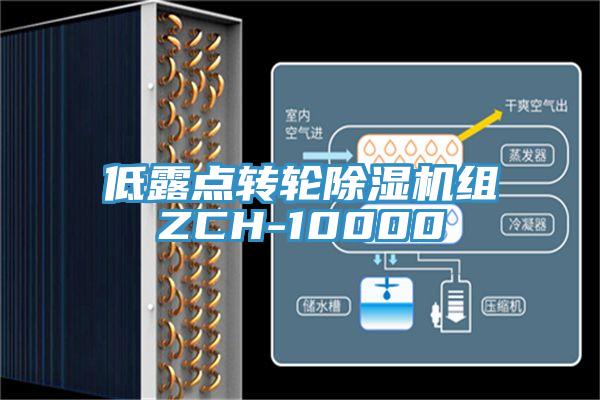 低露點轉輪除濕機組ZCH-10000