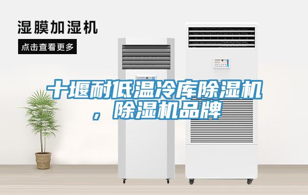 十堰耐低溫冷庫除濕機，除濕機品牌