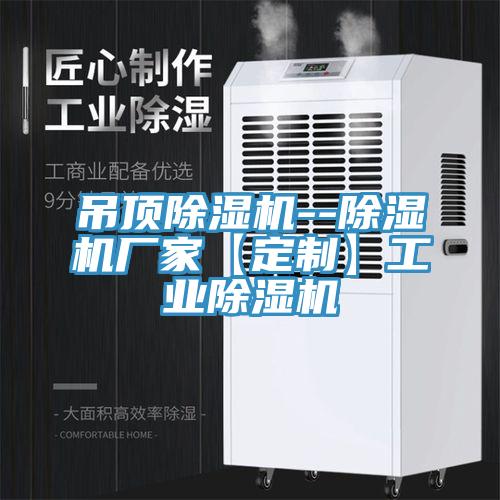 吊頂除濕機--除濕機廠家【定制】工業(yè)除濕機