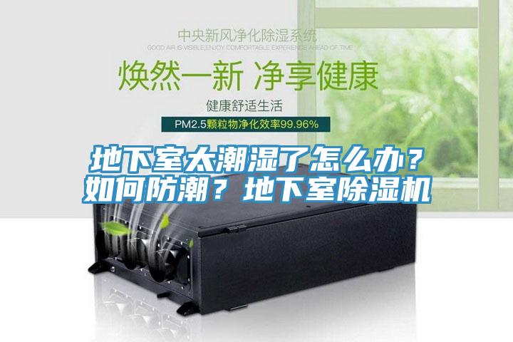 地下室太潮濕了怎么辦？如何防潮？地下室除濕機