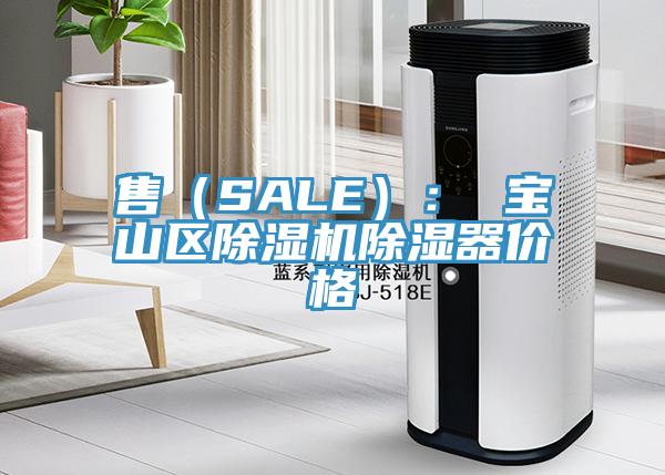 售（SALE）： 寶山區(qū)除濕機(jī)除濕器價格