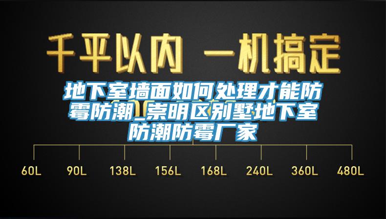 地下室墻面如何處理才能防霉防潮_崇明區(qū)別墅地下室防潮防霉廠家