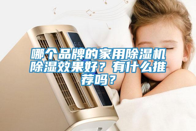 哪個品牌的家用除濕機除濕效果好？有什么推薦嗎？