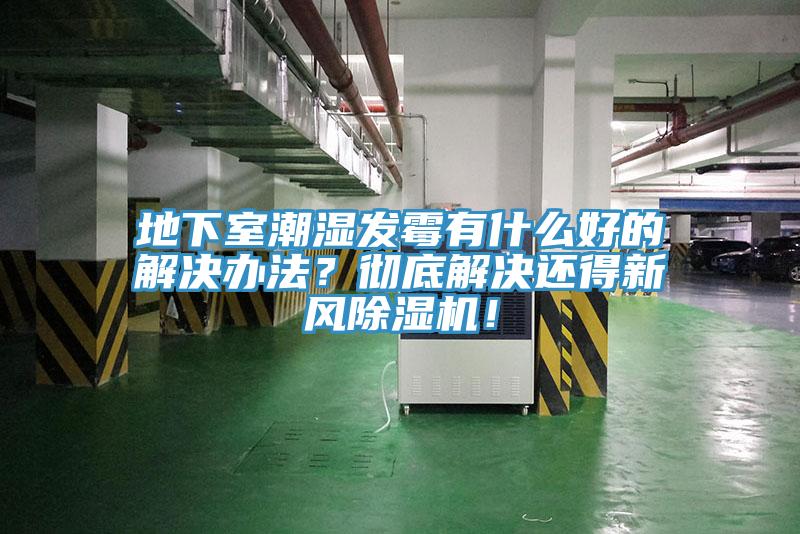 地下室潮濕發(fā)霉有什么好的解決辦法？徹底解決還得新風除濕機！