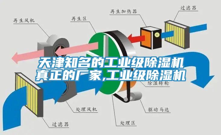 天津知名的工業級除濕機真正的廠家,工業級除濕機