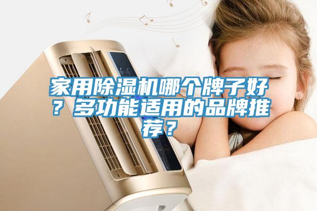 家用除濕機哪個牌子好？多功能適用的品牌推薦？