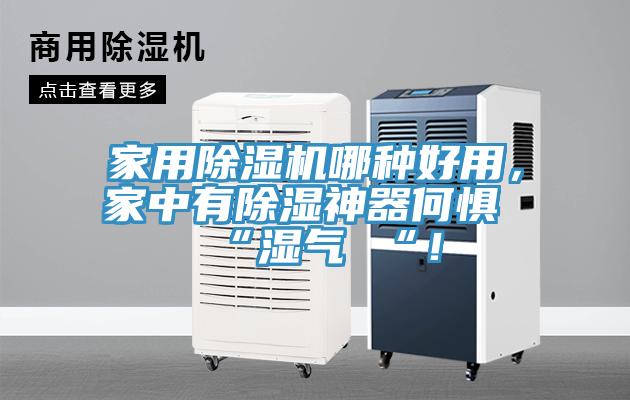 家用除濕機哪種好用，家中有除濕神器何懼 “濕氣 “！