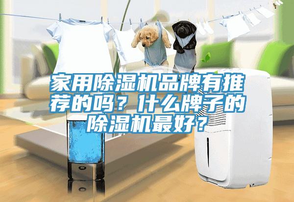 家用除濕機品牌有推薦的嗎？什么牌子的除濕機最好？