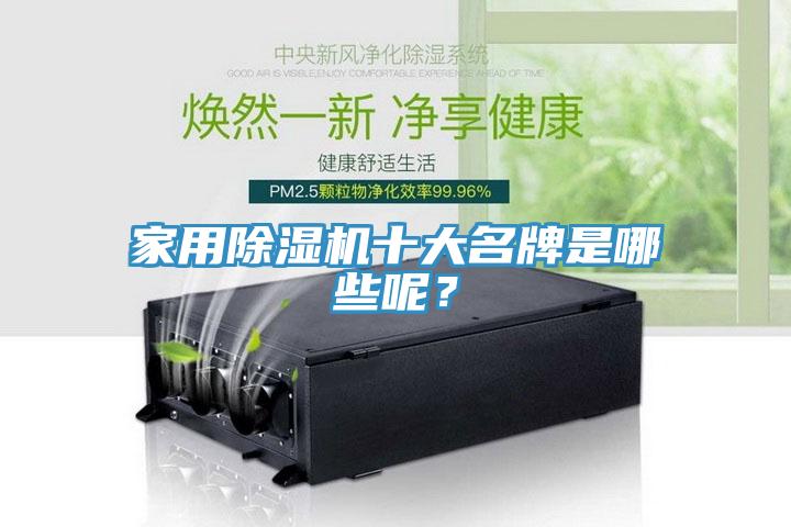 家用除濕機十大名牌是哪些呢？