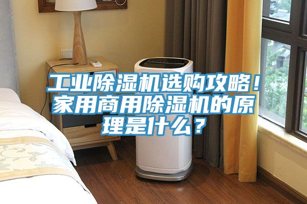 工業除濕機選購攻略！家用商用除濕機的原理是什么？