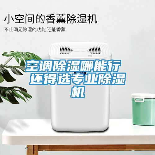 空調除濕哪能行 還得選專業(yè)除濕機