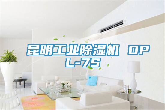 昆明工業除濕機 DPL-7S