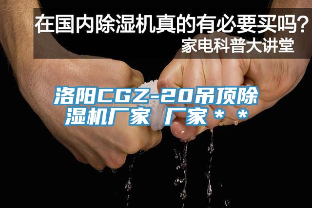 洛陽CGZ-20吊頂除濕機(jī)廠家 廠家＊＊