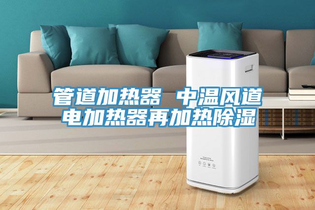 管道加熱器 中溫風(fēng)道電加熱器再加熱除濕