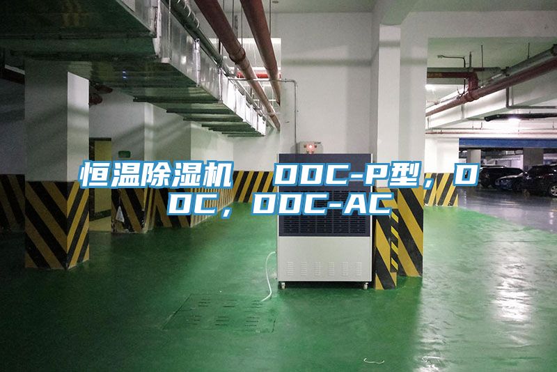 恒溫除濕機(jī)  DDC-P型，DDC，DDC-AC