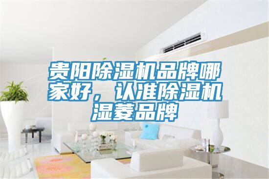 貴陽除濕機品牌哪家好，認準除濕機濕菱品牌