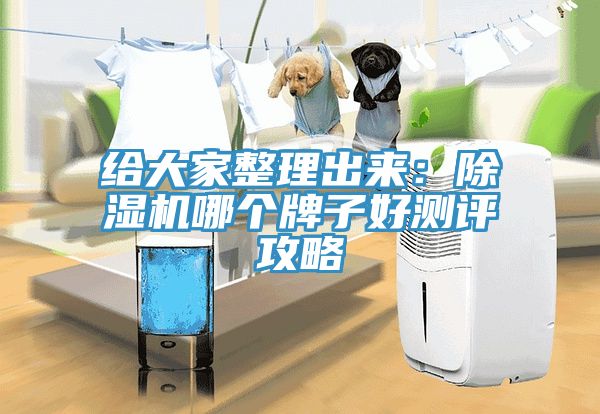 給大家整理出來：除濕機哪個牌子好測評攻略