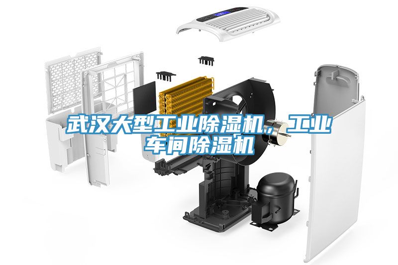 武漢大型工業除濕機，工業車間除濕機