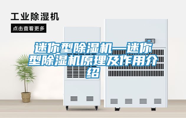 迷你型除濕機—迷你型除濕機原理及作用介紹