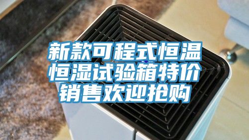 新款可程式恒溫恒濕試驗箱特價銷售歡迎搶購