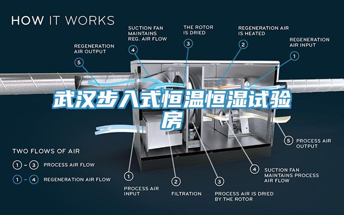 武漢步入式恒溫恒濕試驗(yàn)房