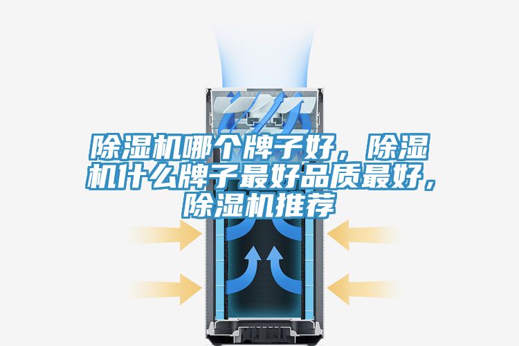 除濕機哪個牌子好，除濕機什么牌子最好品質最好，除濕機推薦