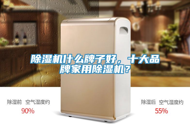 除濕機(jī)什么牌子好，十大品牌家用除濕機(jī)？