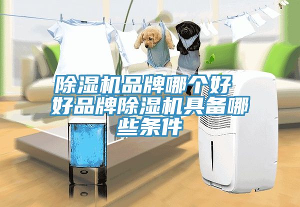 除濕機品牌哪個好 好品牌除濕機具備哪些條件