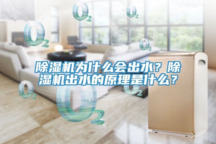 除濕機為什么會出水？除濕機出水的原理是什么？